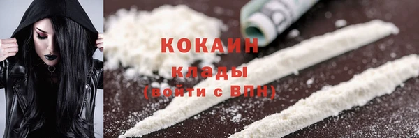 индика Арсеньев
