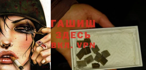 индика Арсеньев