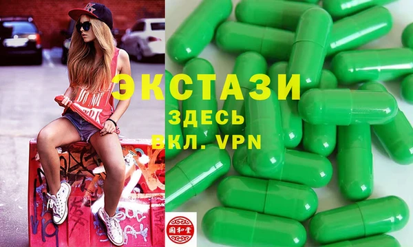 индика Арсеньев