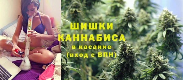 индика Арсеньев