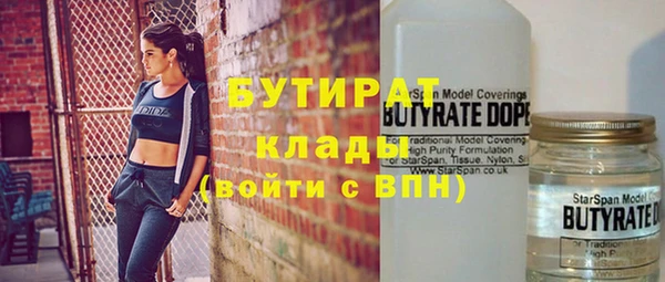 индика Арсеньев
